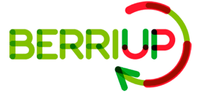 Logo berriup